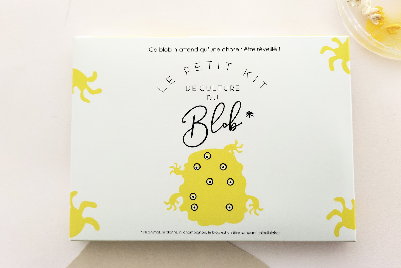 Schleimpilz Blob – Zuchtset mit Sklerotium, Petrischale & Anleitung - Ansicht 6