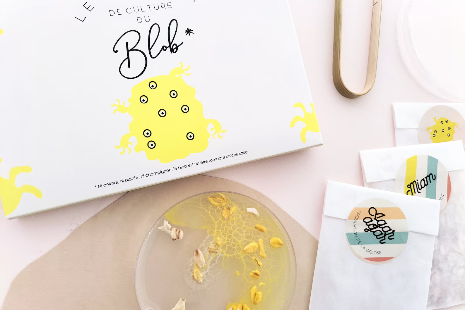Schleimpilz Blob – Zuchtset mit Sklerotium, Petrischale & Anleitung - Ansicht 9